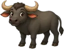 Búfalo