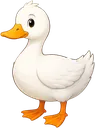 Pato