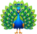 Pavão