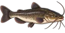 Bagre