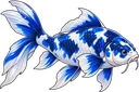 Koi Azul