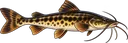 Mandi