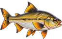 Piapara