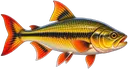 Piraputanga