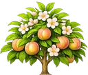 Pêssego