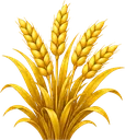 Trigo